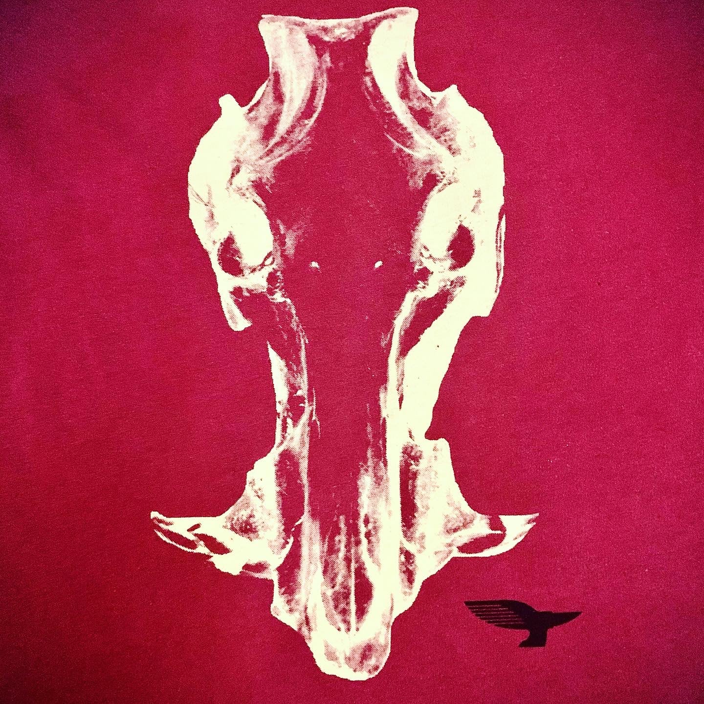 Fletcher Chouinard designed T-Shirt