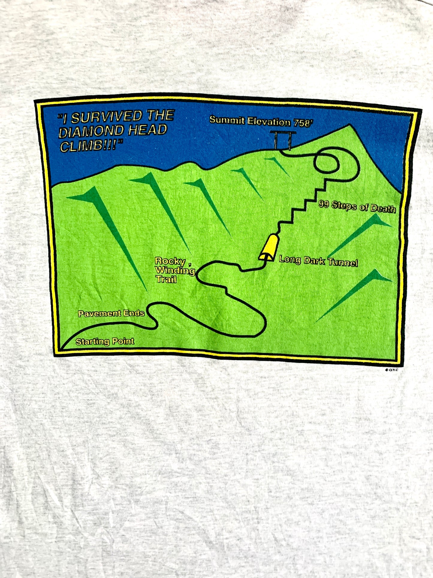 Hawaiian 'I Climbed Diamond Head' Souvenir T-shirt